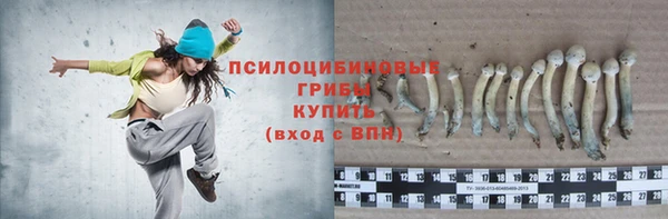 гидропоника Белоозёрский