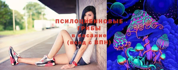 гидропоника Белоозёрский